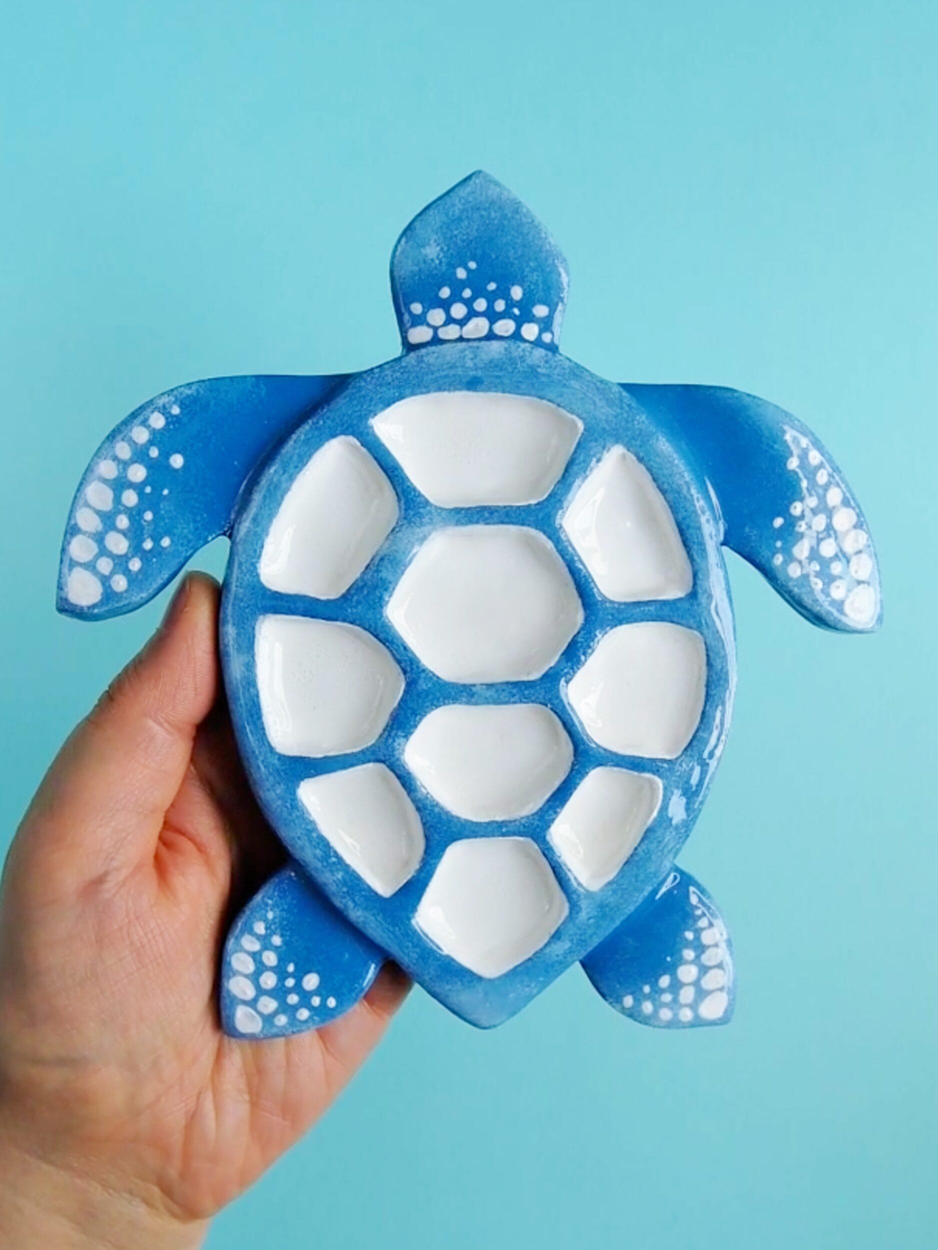 Template – Blue Turtle - Image 2