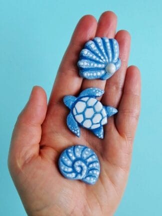 Template – Shells & Turtle