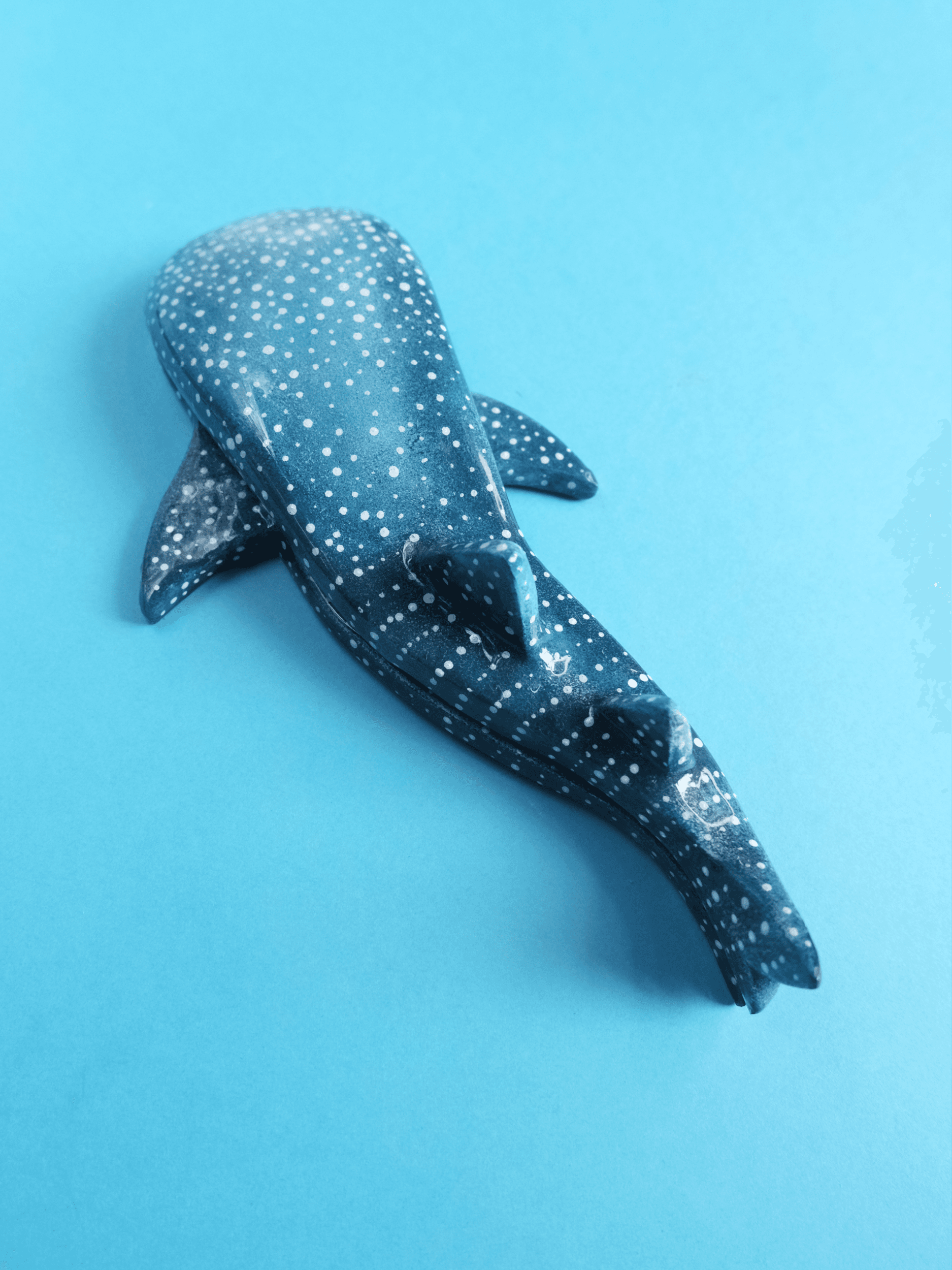 Template – Whale Shark - Image 3